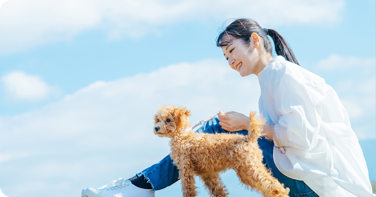 犬の健康を第一に考える、犬のための健康ステーション