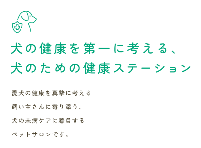 犬の健康を第一に考える、犬のための健康ステーション