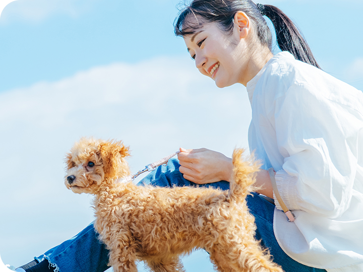 犬の健康を第一に考える、犬のための健康ステーション