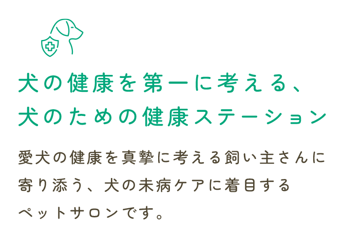 犬の健康を第一に考える、犬のための健康ステーション